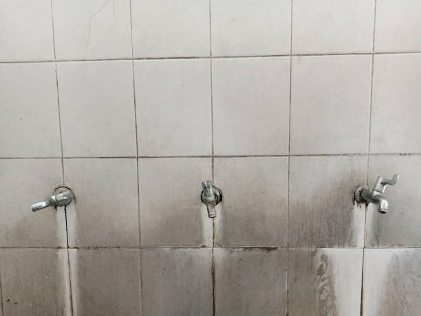 Best Flooded house restoration  in Pughtown, PA